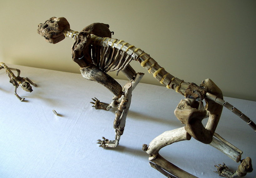 Giovanni Longo / Testa o croce?, 2009