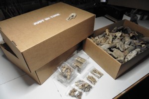 Giovanni Longo, Just in Time 2/3